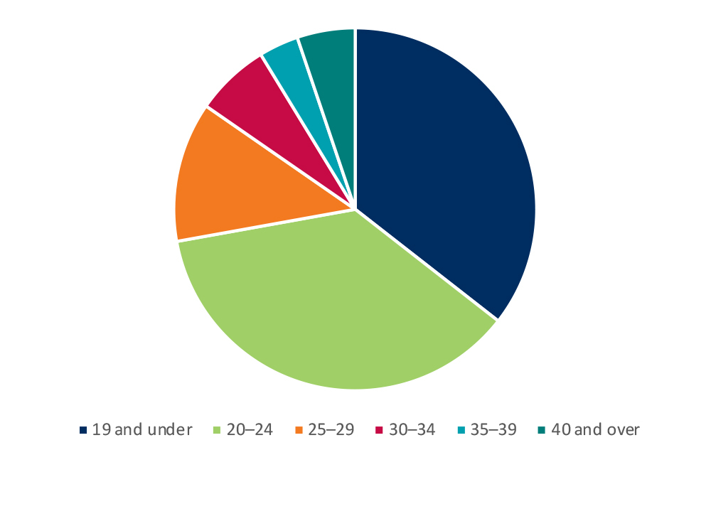 Age analysis pie chart